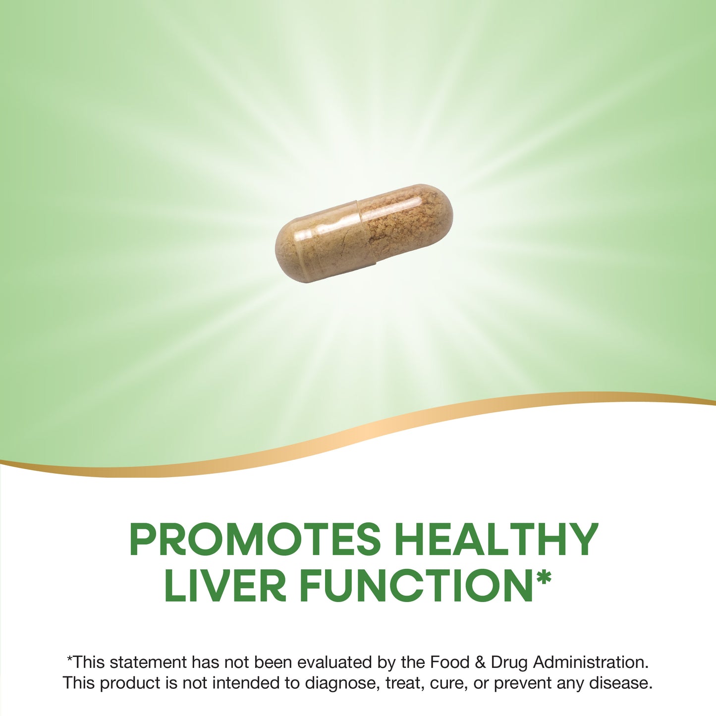 <{%MAIN2_08102%}>Nature's Way® | Super Milk Thistle