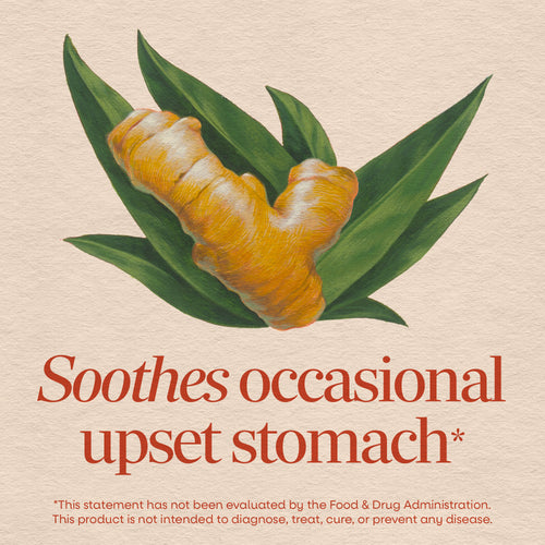 Nature's Way® | Ginger Root Sku:13108