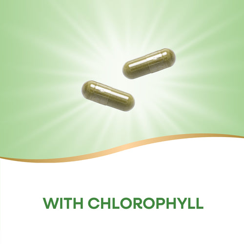 Nature's Way® | Parsley Leaf Sku:15300