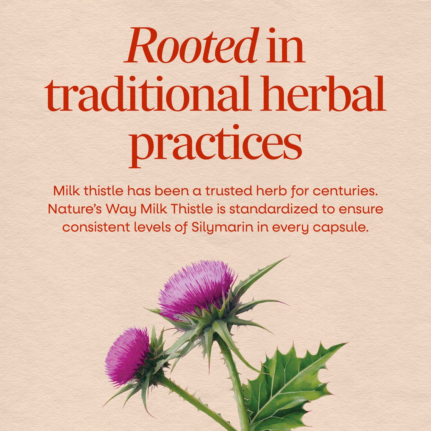 <{%MAIN9_15355%}>Nature's Way® | Milk Thistle