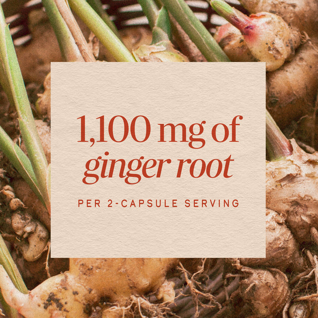 <{%MAIN15_11926%}>Nature's Way® | Ginger Root