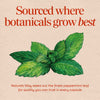 Nature's Way® | Peppermint Leaf Sku:14160