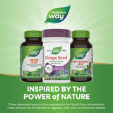 <{%MAIN11_14320%}>Nature's Way® | Grape Seed Standardized Extract