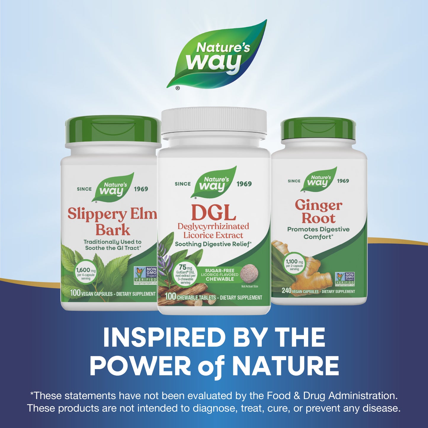 <{%MAIN5_09021%}>Nature's Way® | DGL Sugar Free