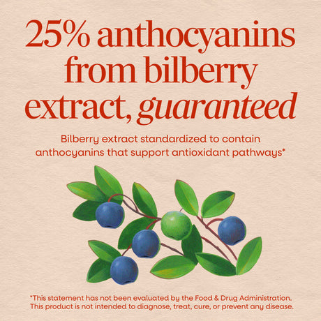 <{%MAIN2_60500%}>Nature's Way® | Bilberry