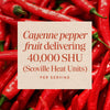 Nature's Way® | Cayenne Fruit Sku:11508