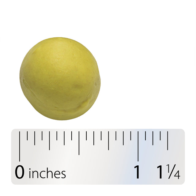 <{%360IMAGE3_14261%}>Nature's Way® | Quercetin Gummies - Gummy and ruler