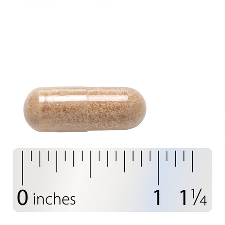 <{%MAIN4_13691%}>Nature's Way® | Sustained Focus-Last Chance1 - Capsule and ruler