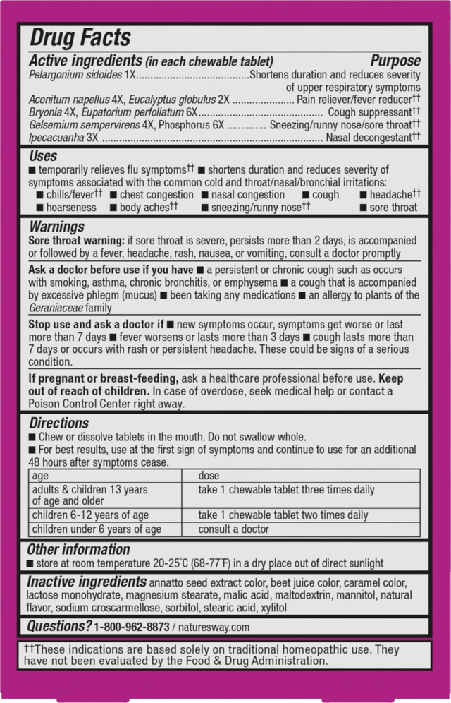 <{%360IMAGE5_15159%}>Nature's Way® | Umcka Cold&Flu Relief Chewables - back of pack