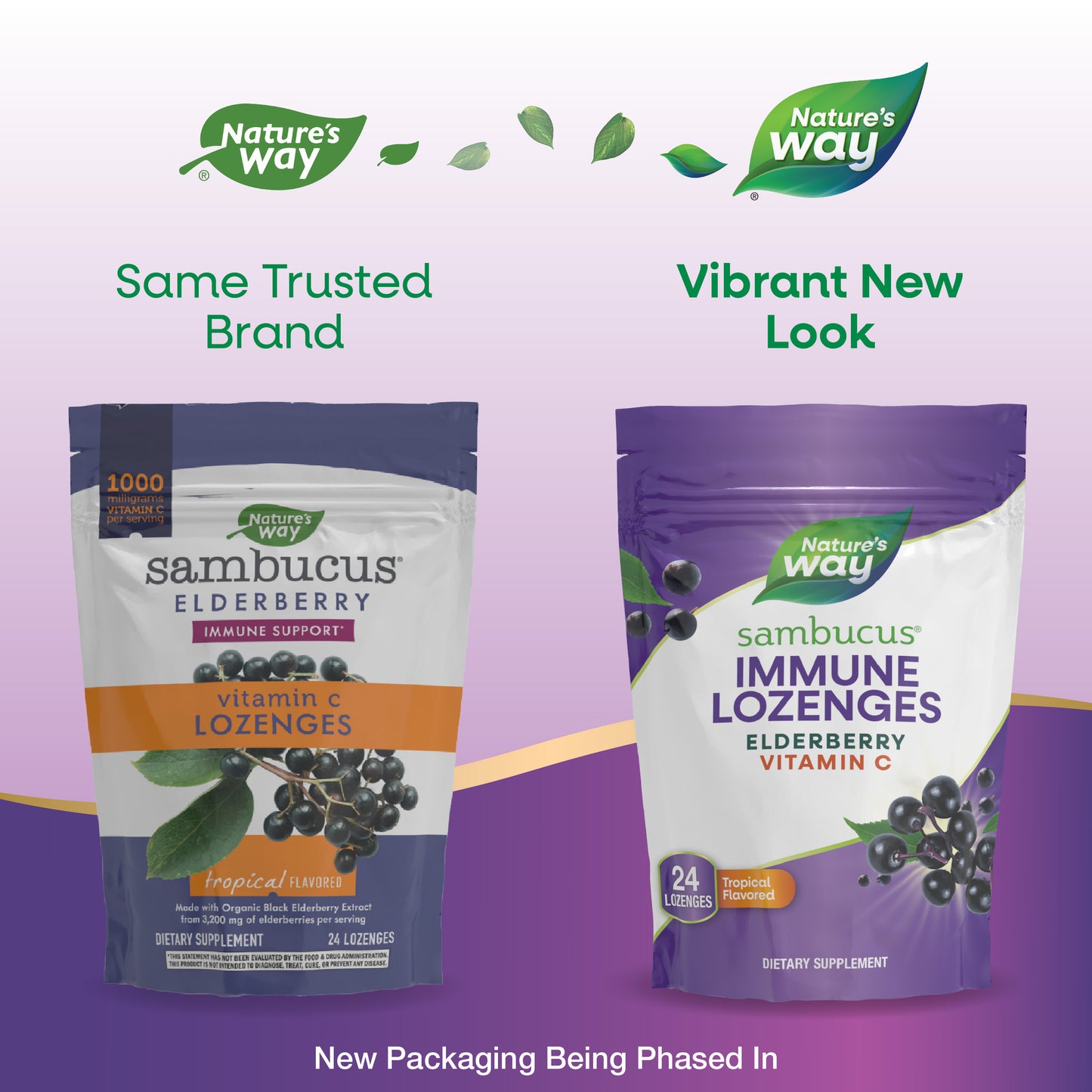 <{%MAIN7_12963%}>Nature's Way® | Sambucus Immune Lozenges