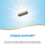 <{%MAIN2_15493%}>Nature's Way® | Holy Basil Standardized Extract