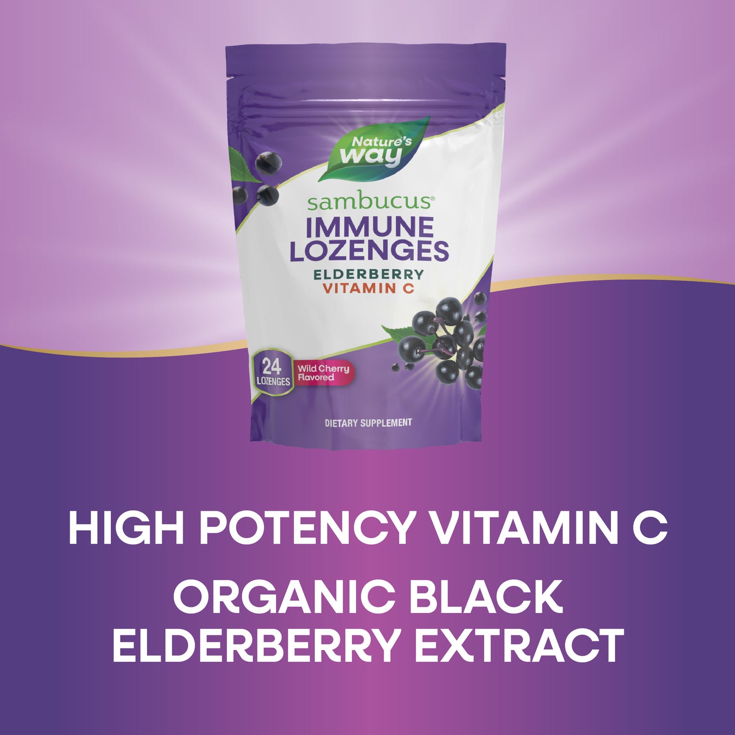 <{%MAIN3_12709%}>Nature's Way® | Sambucus Immune Lozenges