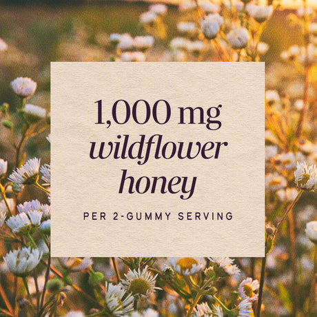<{%MAIN3_15761%}>Nature's Way® | Sambucus Elderberry + Wildflower Honey Immune Gummy
