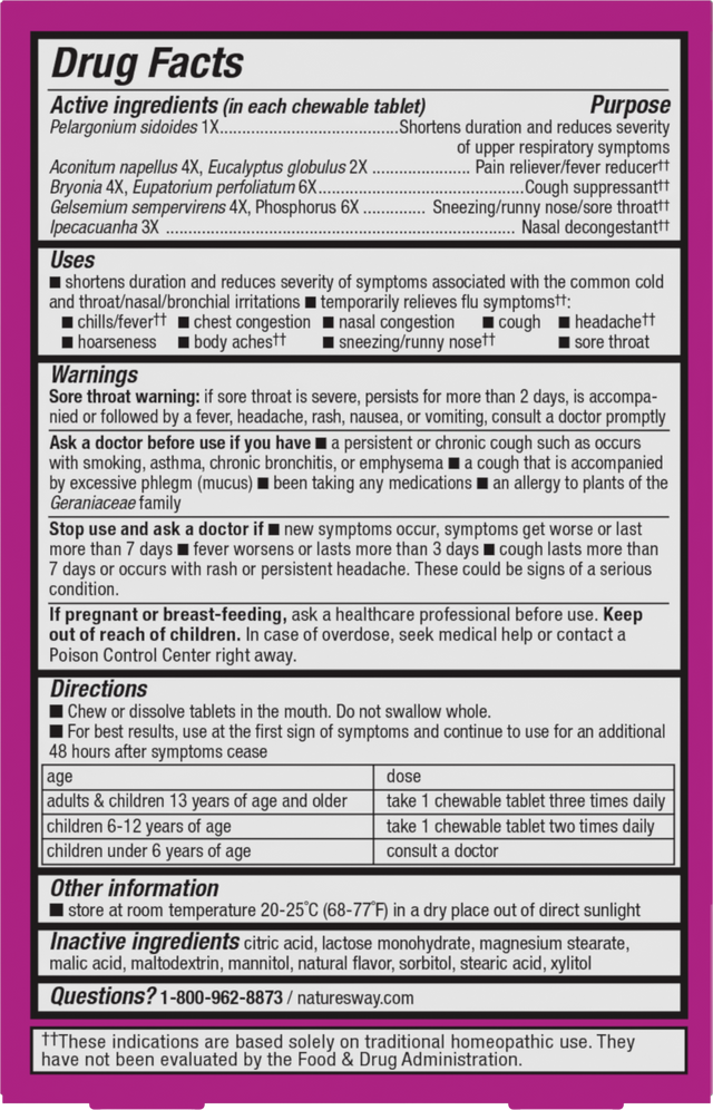 <{%360IMAGE1_15161%}>Nature's Way® | Umcka Cold & Flu Relief Chewables - back of pack