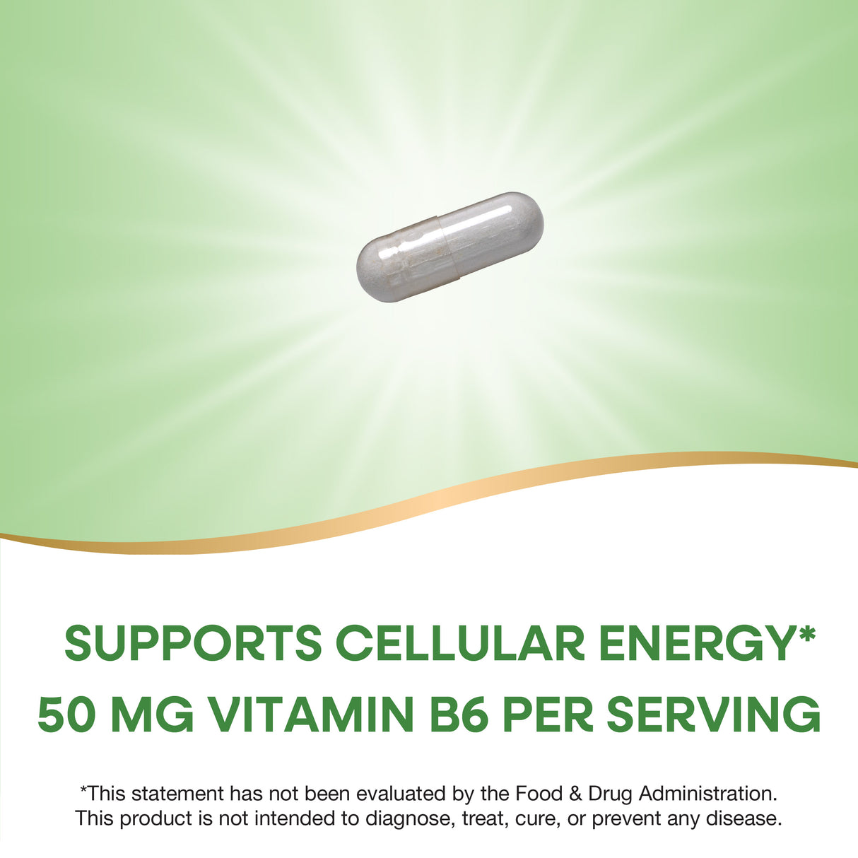 <{%MAIN2_40431%}>Nature's Way® | Vitamin B6 High Potency