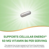 <{%MAIN2_40431%}>Nature's Way® | Vitamin B6 High Potency