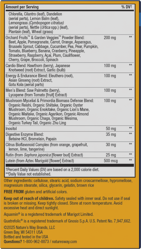 <{%360IMAGE2_15542%}>Nature's Way® | Alive! Max3 Potency Men's Complete Multivitamin Tablets - back of pack