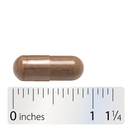 <{%360IMAGE4_17700%}>Nature's Way® | Valerian Root - Capsule and ruler