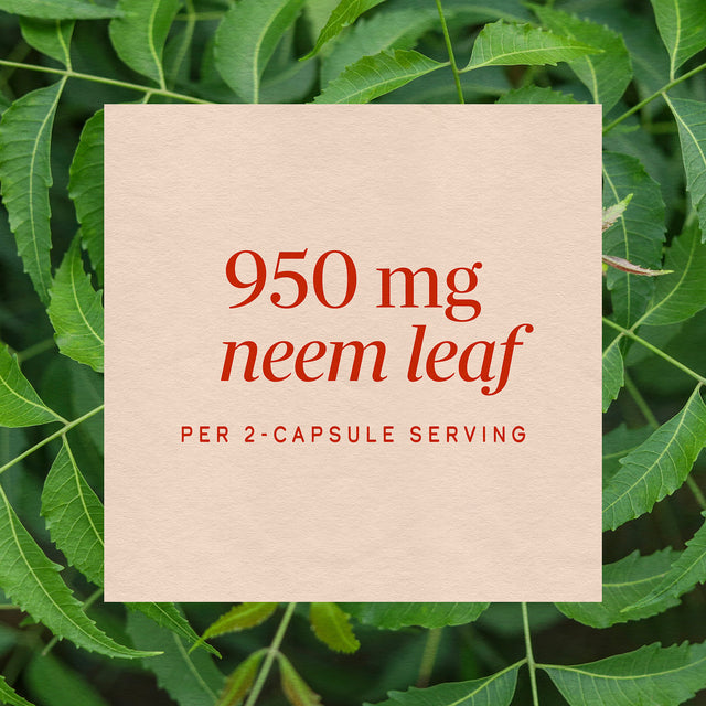 <{%MAIN3_15120%}>Nature's Way® | Neem Leaf