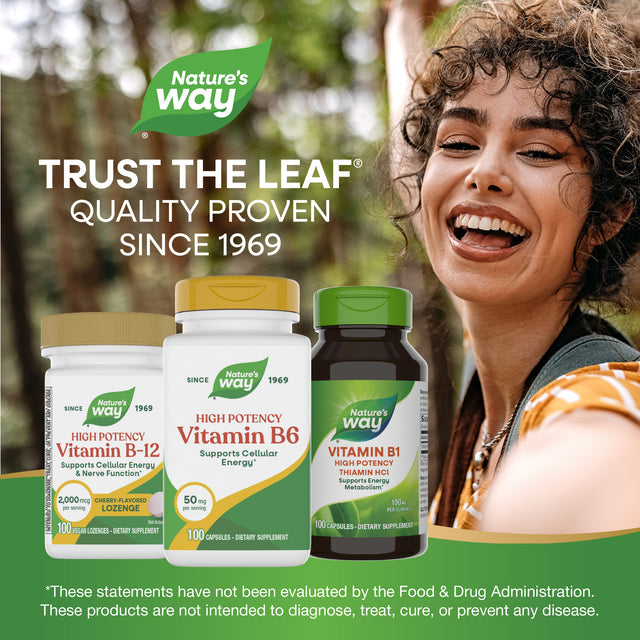 <{%MAIN5_40431%}>Nature's Way® | Vitamin B6 High Potency