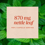 <{%MAIN3_15150%}>Nature's Way® | Nettle Leaf