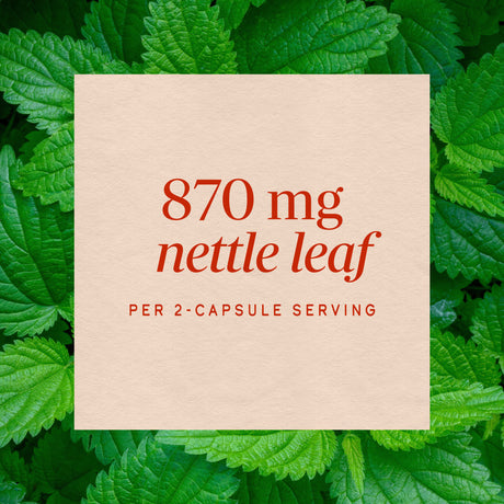 <{%MAIN3_15150%}>Nature's Way® | Nettle Leaf
