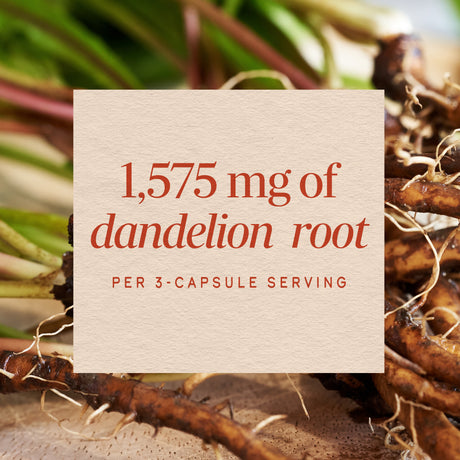 <{%MAIN10_12300%}>Nature's Way® | Dandelion Root