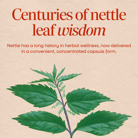 <{%MAIN2_15150%}>Nature's Way® | Nettle Leaf