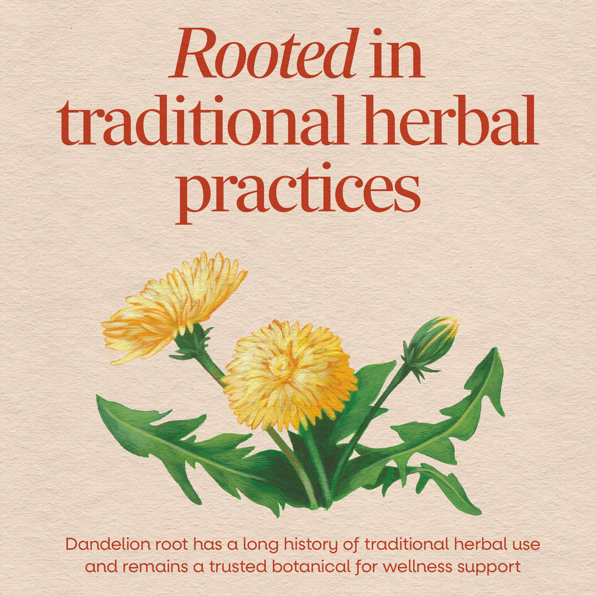 <{%MAIN9_12300%}>Nature's Way® | Dandelion Root
