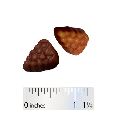 <{%360IMAGE9_15904%}>Nature's Way® | Alive! Women's 50+ Gummy Multivitamin - Gummy and ruler