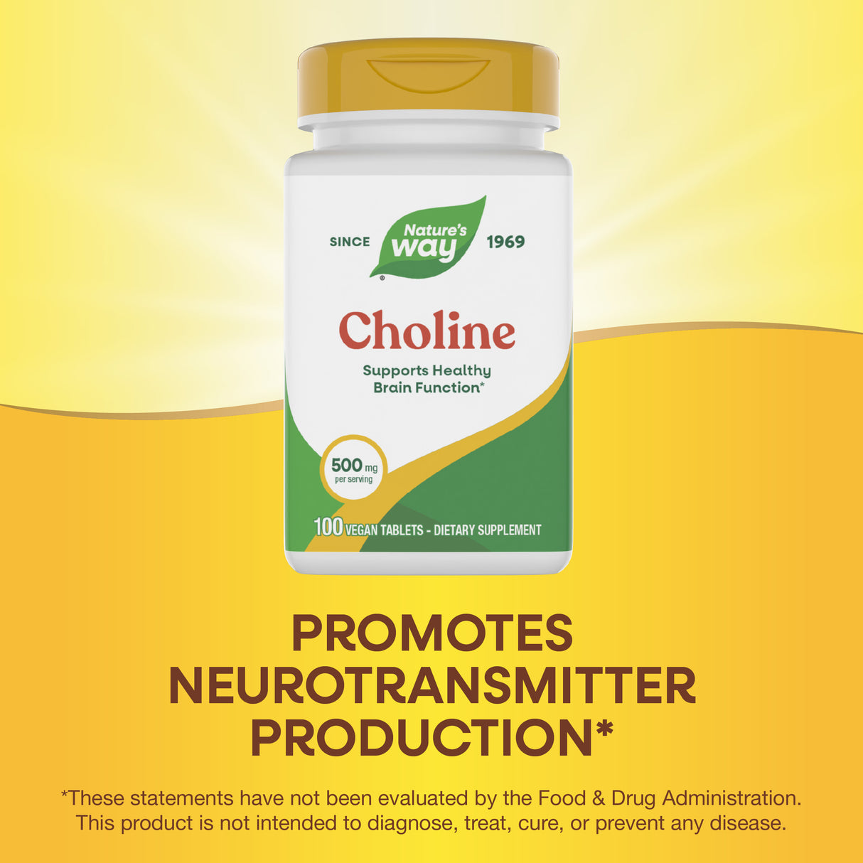 <{%MAIN3_40460%}>Nature's Way® | Choline