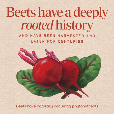 <{%MAIN2_10400%}>Nature's Way® | Beet Root