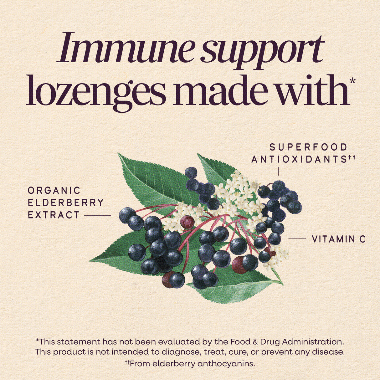 <{%MAIN2_14001%}>Nature's Way® | Sambucus Elderberry Immune Lozenge