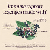 <{%MAIN2_14001%}>Nature's Way® | Sambucus Elderberry Immune Lozenge