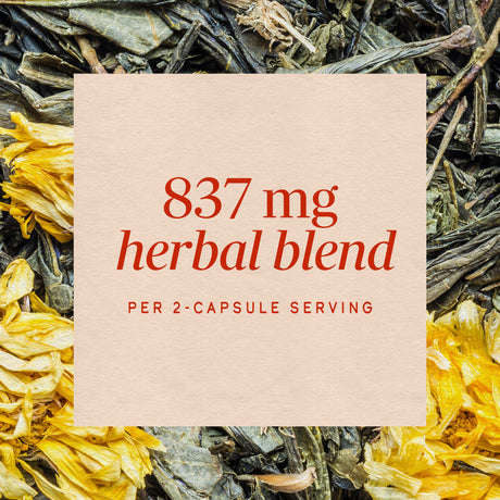 <{%MAIN3_79270%}>Nature's Way® | Leg Veins Premium Blend