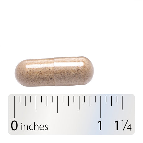 <{%360IMAGE4_13508%}>Nature's Way® | Siberian Eleuthero Root - Capsule and ruler