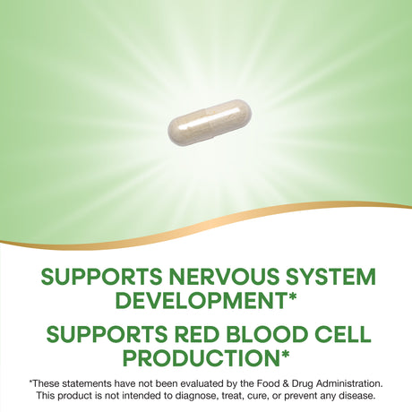 <{%MAIN2_40451%}>Nature's Way® | Folate