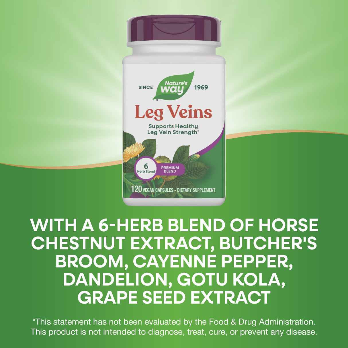 <{%MAIN10_15335%}>Nature's Way® | Leg Veins Premium Blend
