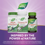 <{%MAIN5_15181%}>Nature's Way® | Oregano Oil