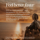 <{%MAIN1_15182%}>Nature's Way® | Sambucus Cold+Flu Relief Elderberry Hot Drink