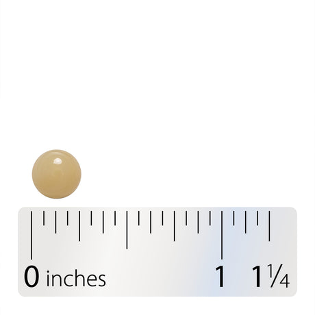 <{%360IMAGE8_04369%}>Nature's Way® | Pearls Complete Probiotic - Softgel and ruler