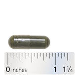<{%360IMAGE4_15150%}>Nature's Way® | Nettle Leaf - Capsule and ruler