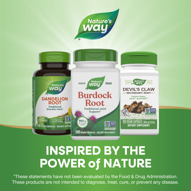 <{%MAIN5_11200%}>Nature's Way® | Burdock Root