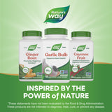 <{%MAIN5_13000%}>Nature's Way® | Garlic Bulb