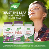 <{%MAIN5_6793%}>Nature's Way® | Garlicin Cardio