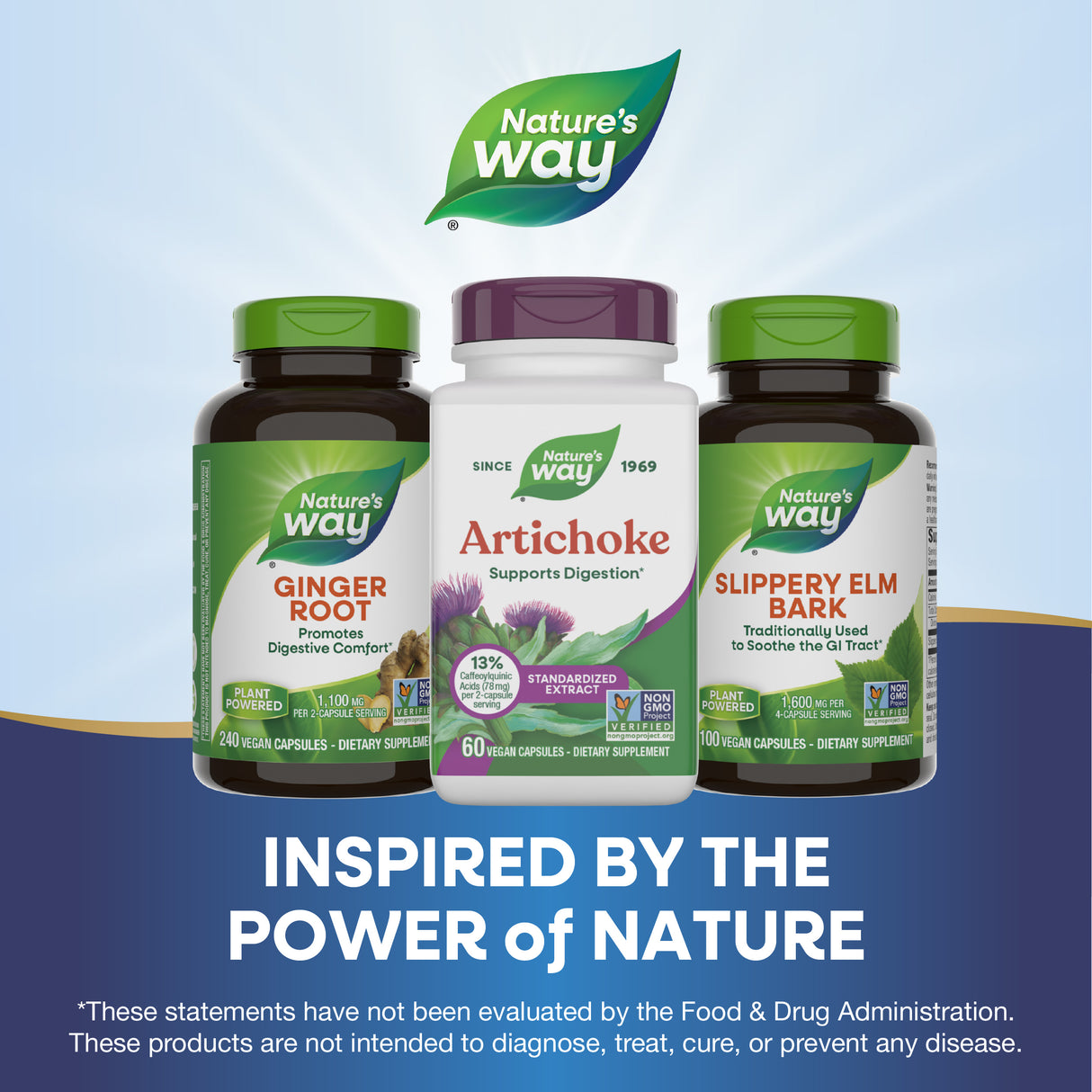 <{%MAIN5_64600%}>Nature's Way® | Artichoke