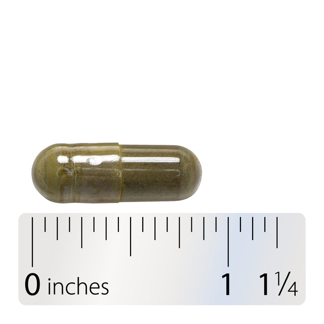 <{%360IMAGE4_63700%}>Nature's Way® | Gymnema - Capsule and ruler