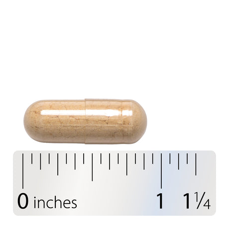 <{%360IMAGE8_10180%}>Nature's Way® | Astragalus Root - Capsule and ruler