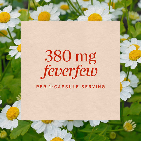 <{%MAIN3_12808%}>Nature's Way® | Feverfew Herb