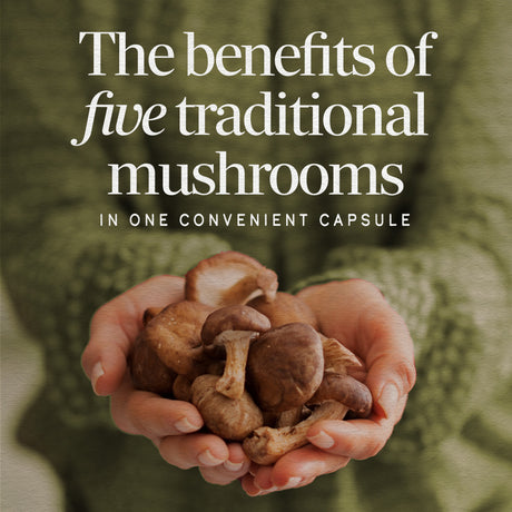 <{%MAIN1_15780%}>Nature's Way® | 5-Mushroom Blend